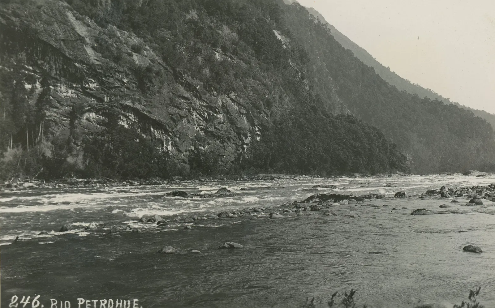 Rio Petrohué, 1930