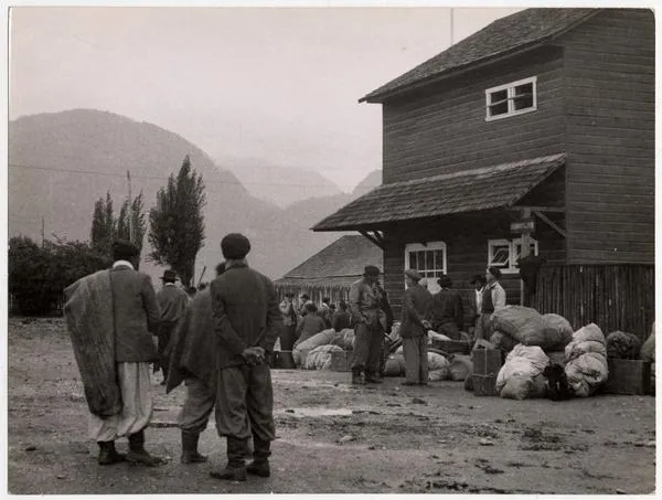 Esquila en Aysén 1950