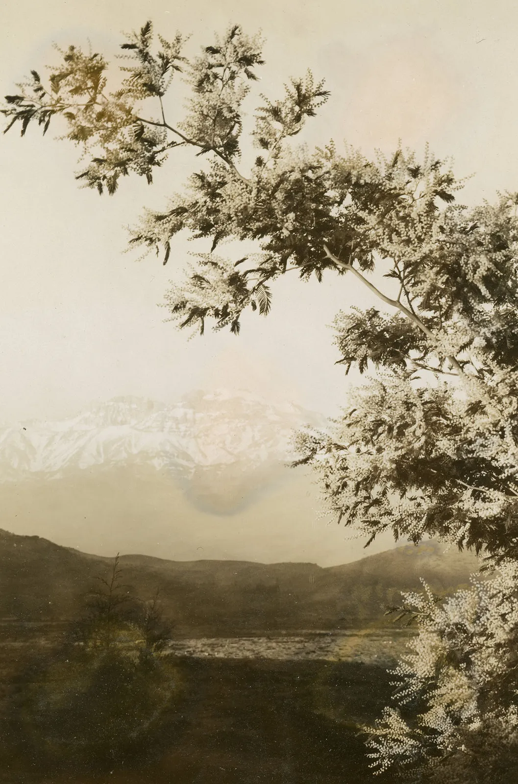 Cerro el Plomo, C.a 1930