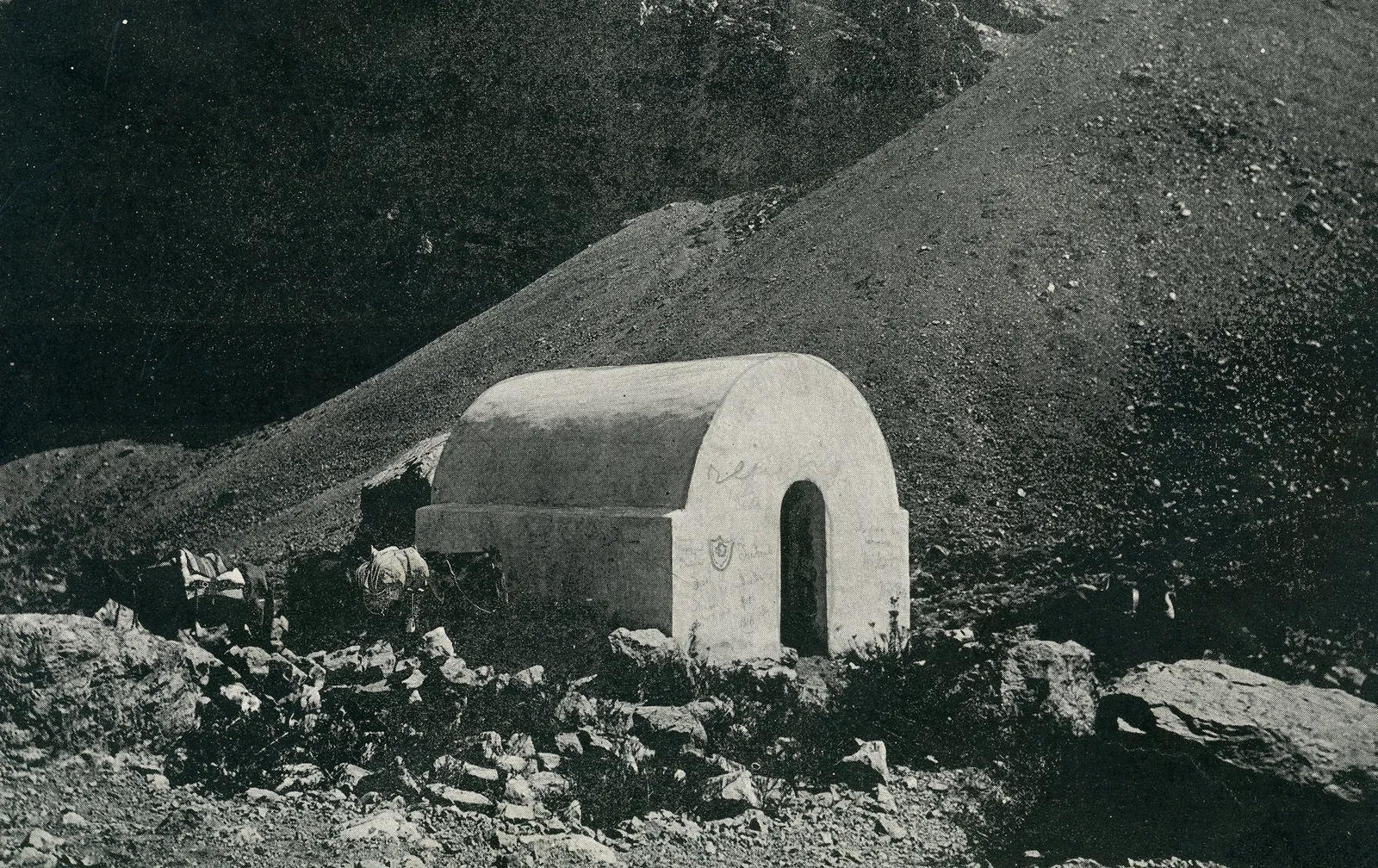 Cordillera de Los Andes 1890
