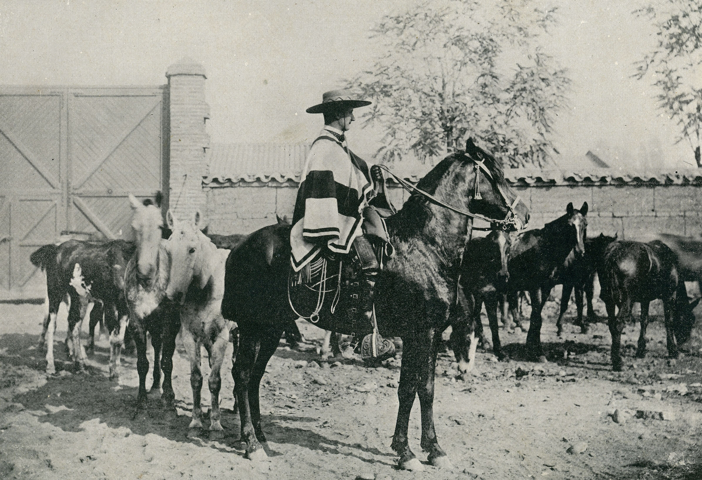Hacendado Chileno 1890