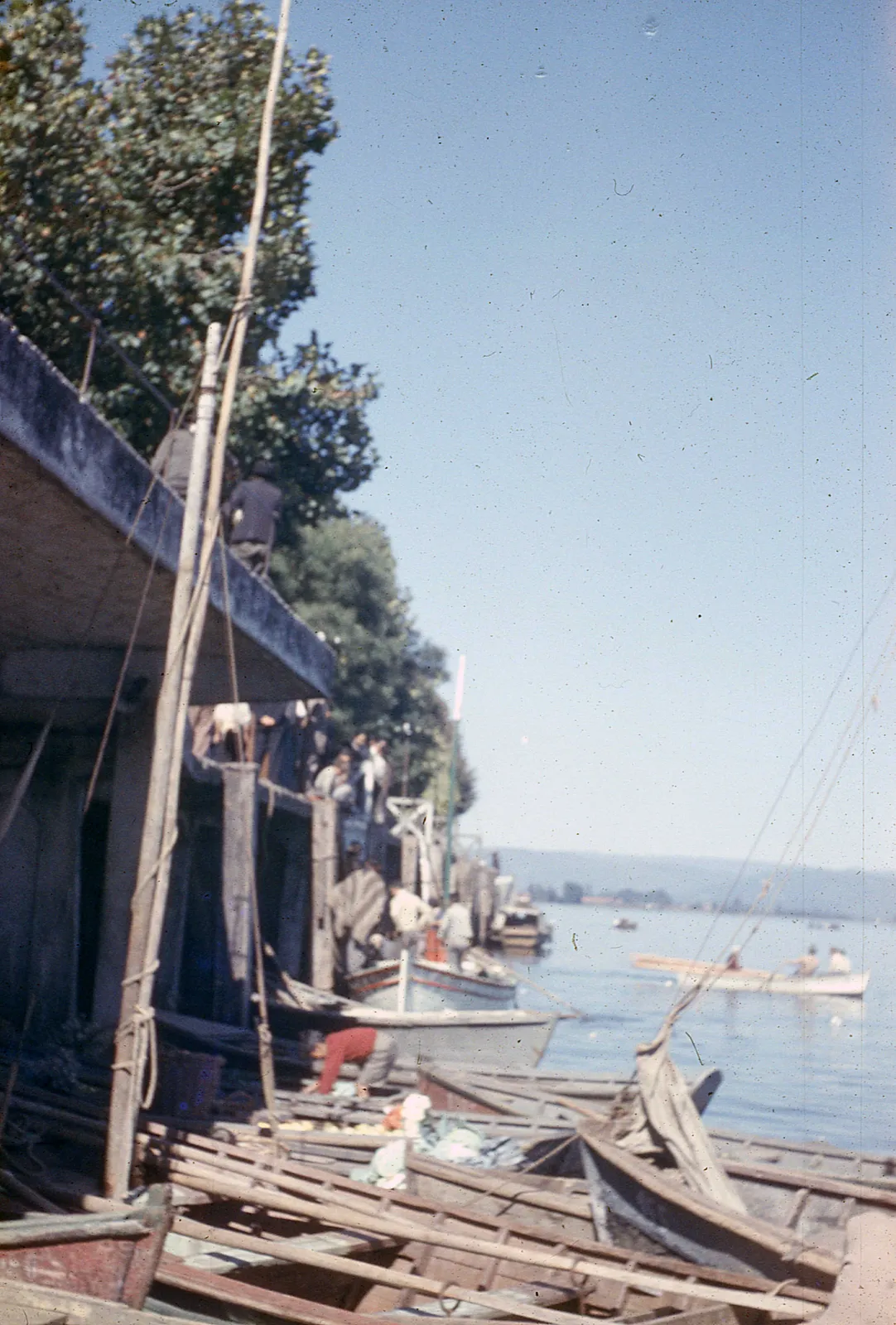 Muelle Fluvial de Valdivia, 1960