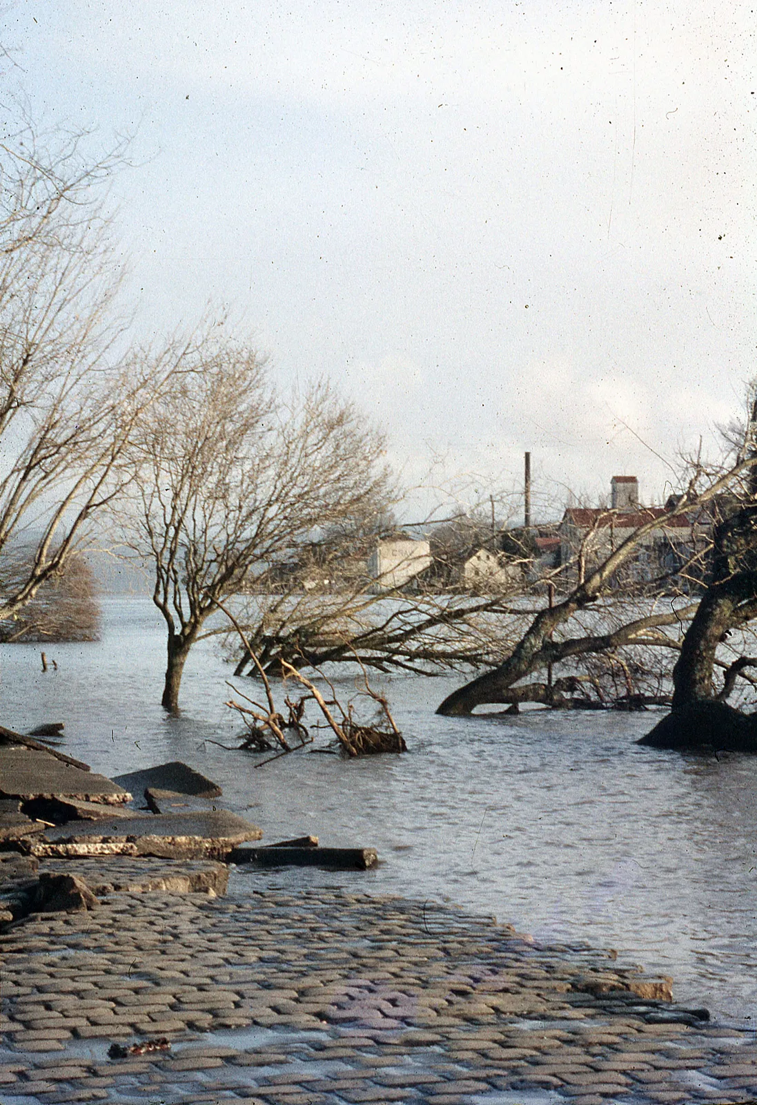 Daños del Terremoto, Valdivia, 1960