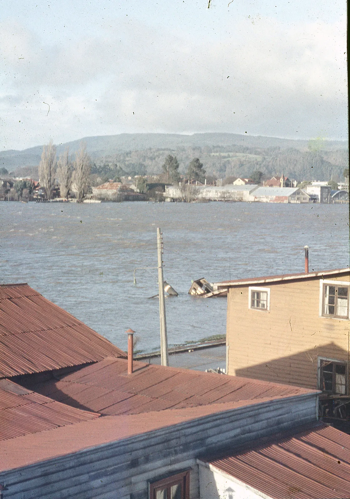 Daños del Terremoto, Valdivia, 1960