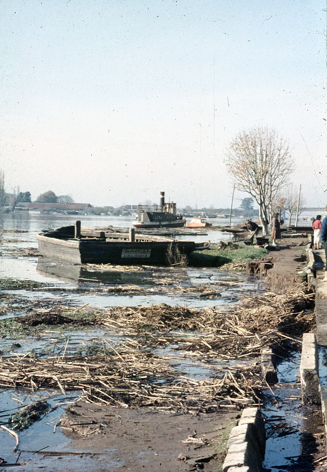 Daños del Terremoto, Valdivia, 1960