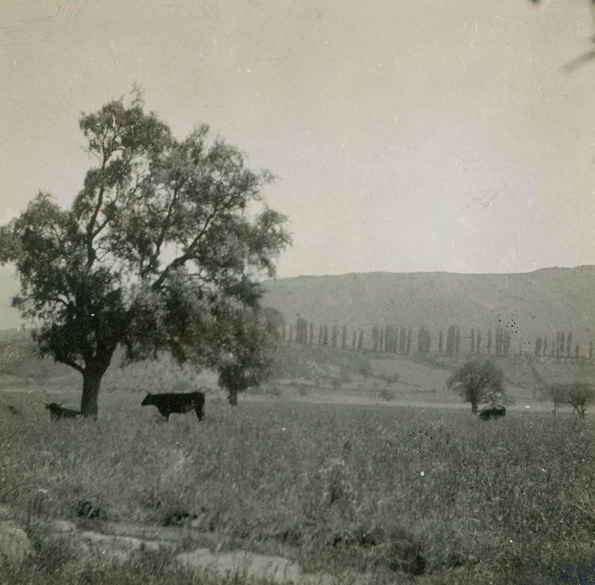 Cercanías de San Felipe ca. 1915