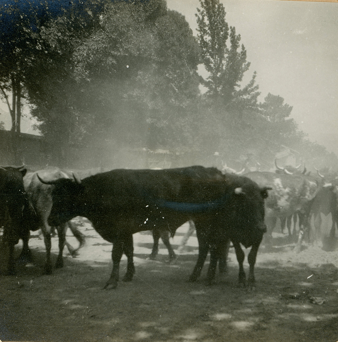 Cercanías de San Felipe ca. 1915
