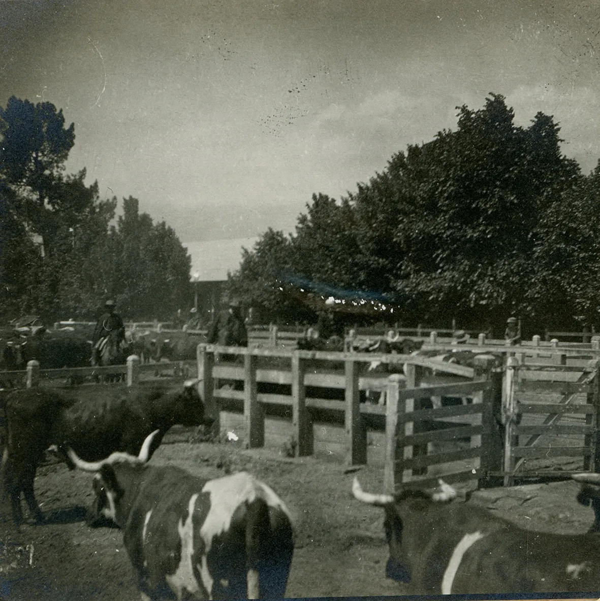Cercanías de San Felipe ca. 1915