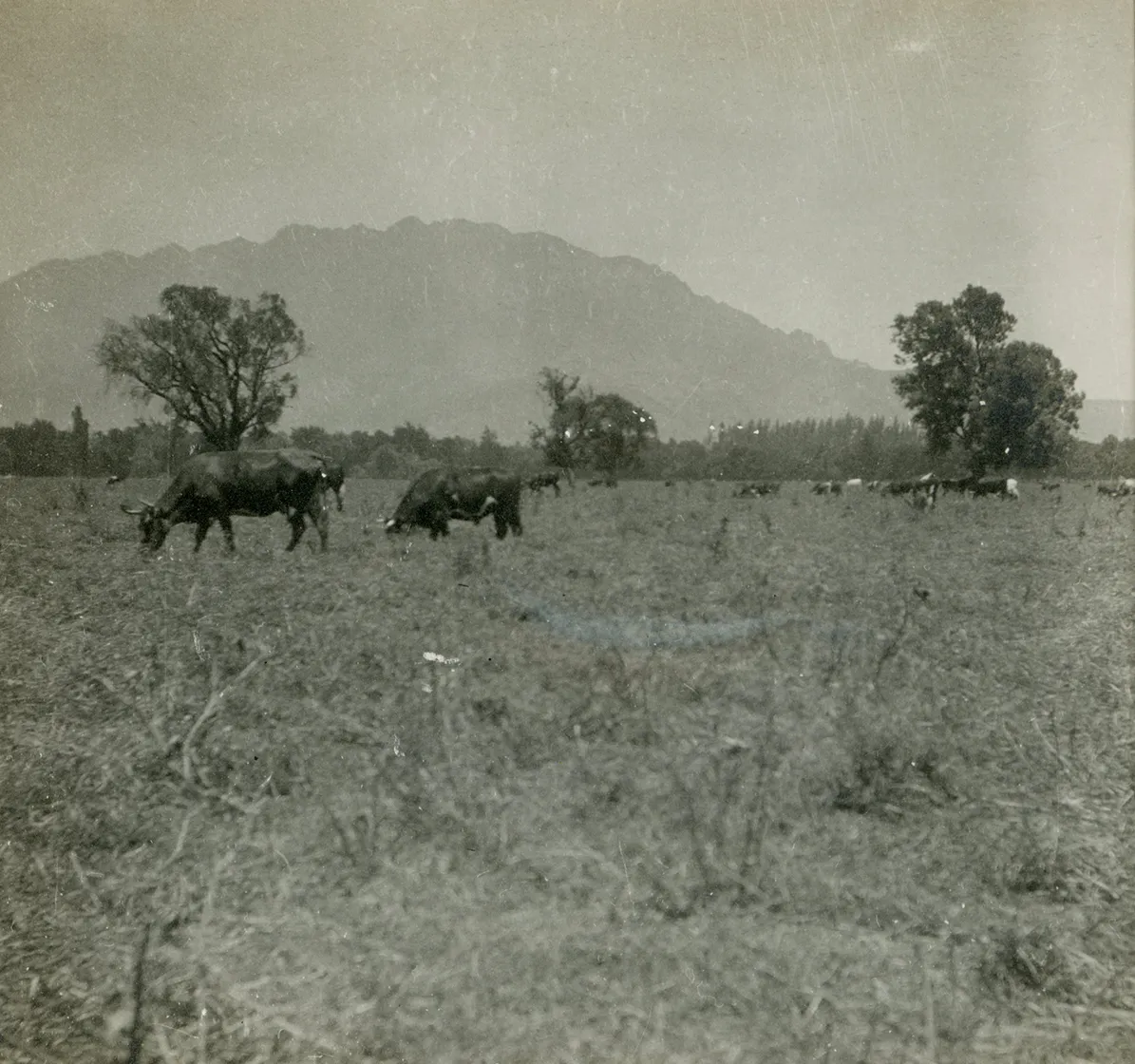 Cercanías de San Felipe ca. 1915