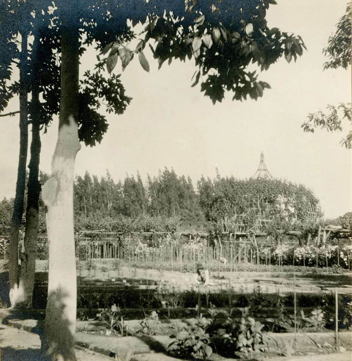 Cercanías de San Felipe ca. 1915