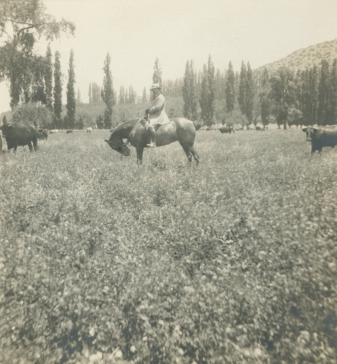 Cercanías de San Felipe ca. 1915