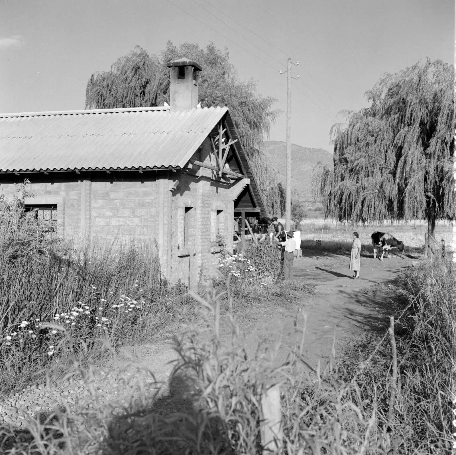 Casa de campo en Hacienda San Vicente, Los Andes, ca. 1960.