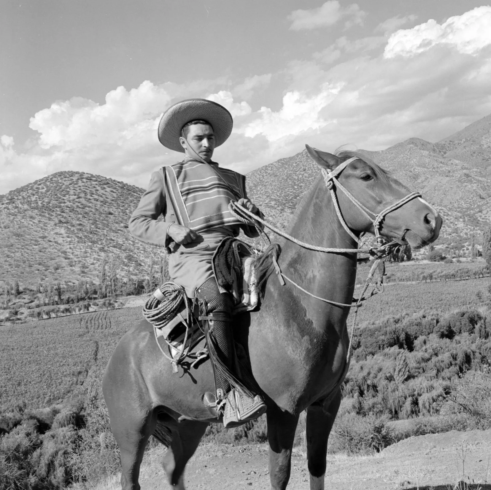 Hombre a caballo en Hacienda San Vicente, Los Andes, ca. 1960.
