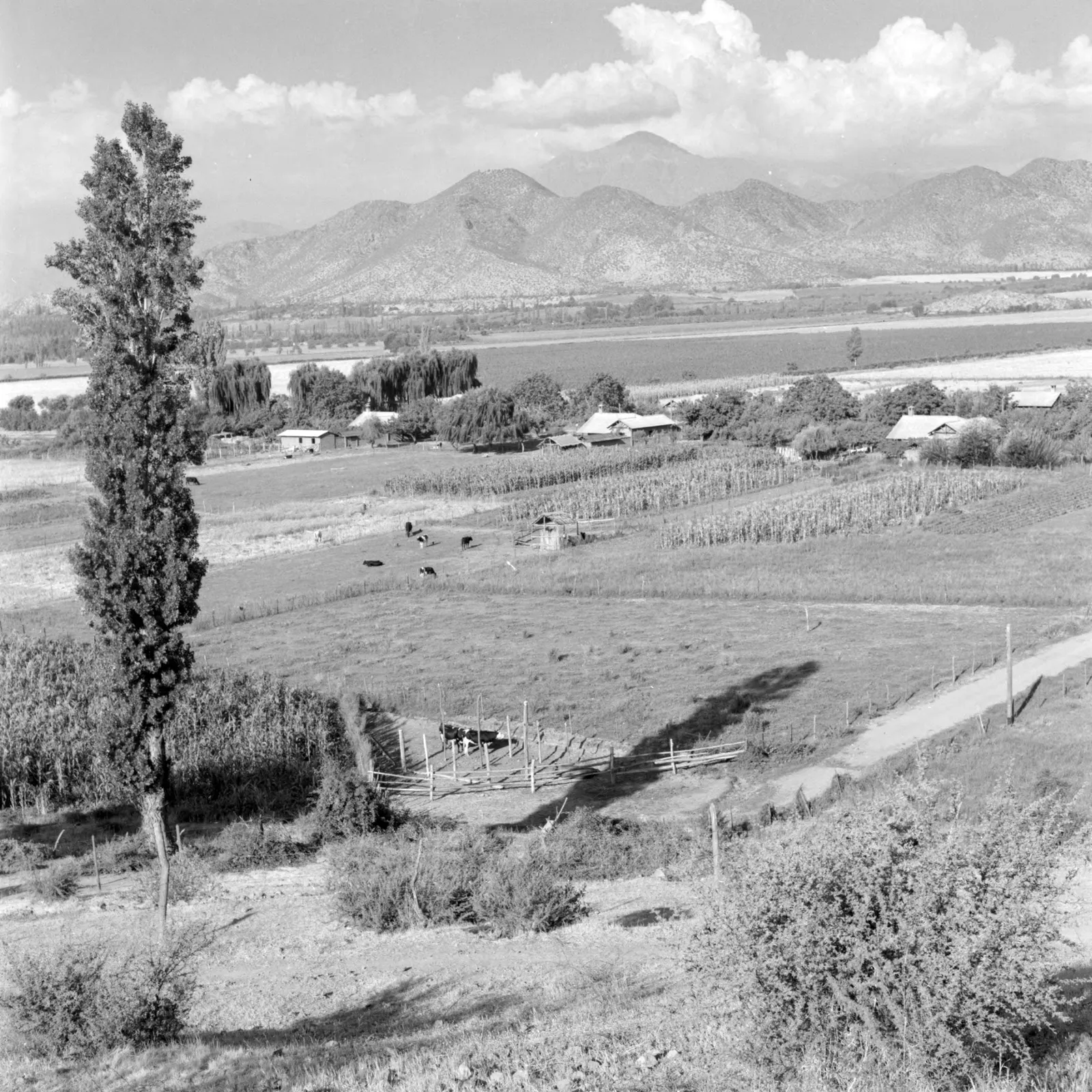Vista de la Hacienda San Vicente Los Andes ca. 1960.