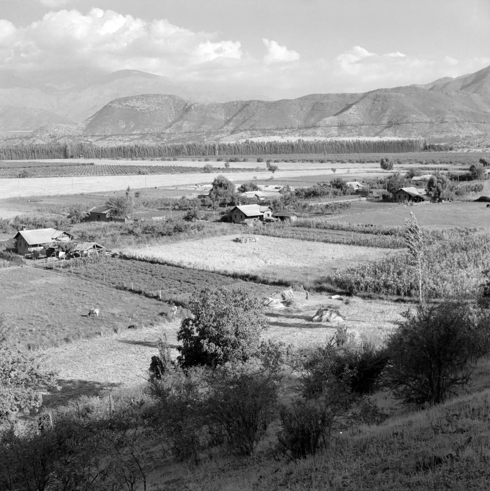 Vista desde la ladera de campos de cultivo en Hacienda San Vicente, Los Andes, ca. 1960