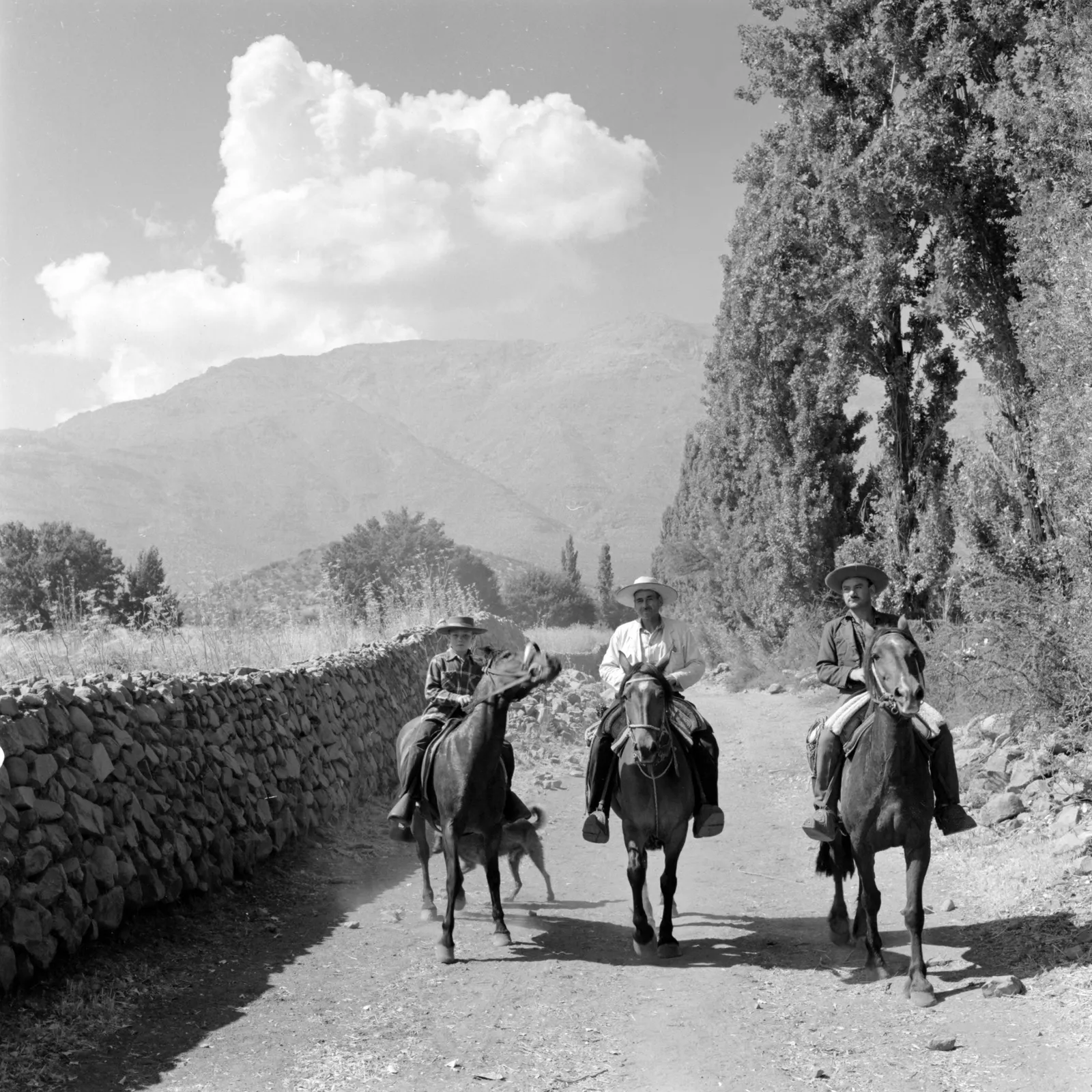 Hombres a caballo en Hacienda San Vicente, Los Andes, ca. 1960