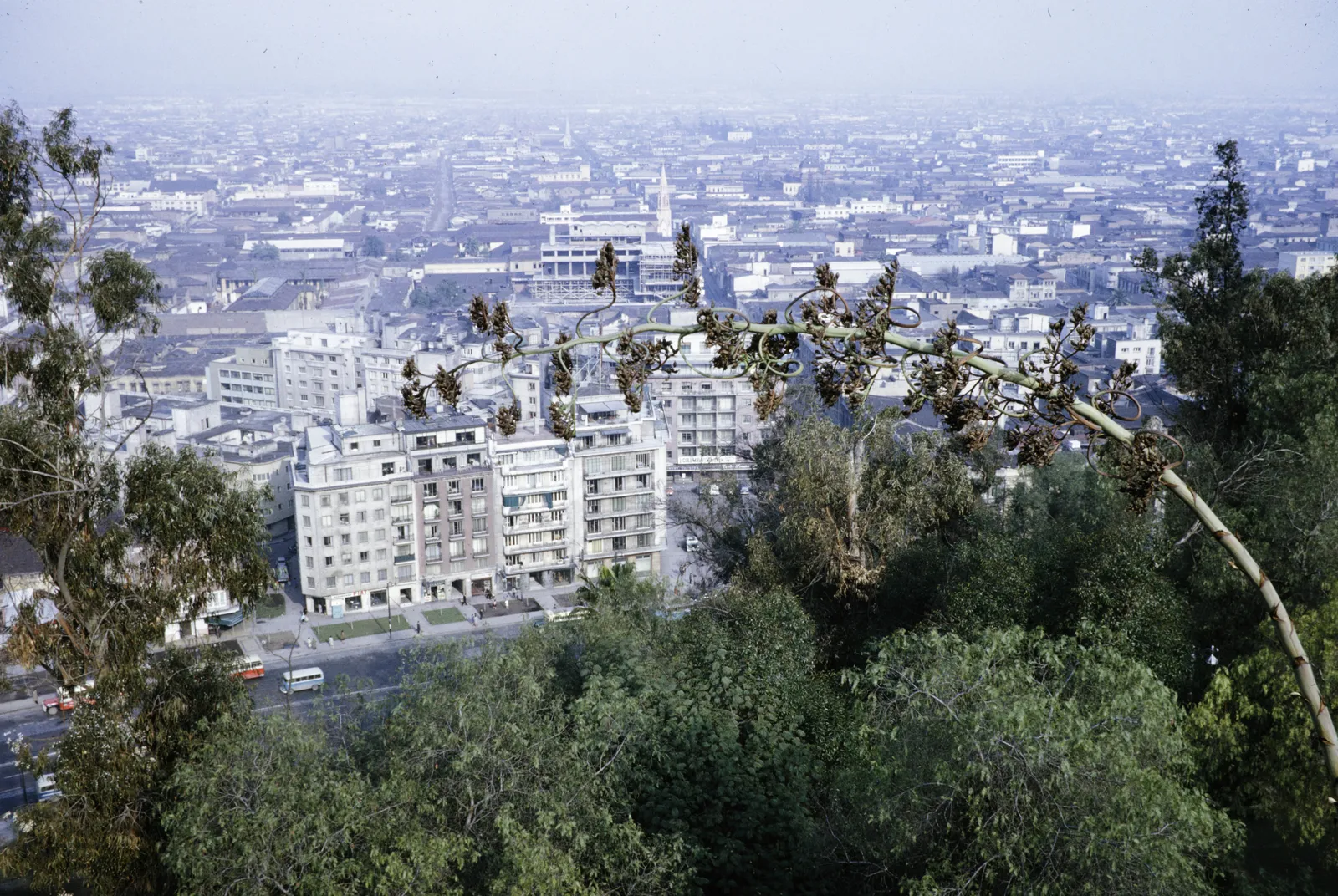Vista de Santiago desde el Cerro Santa Lucia 1960.
