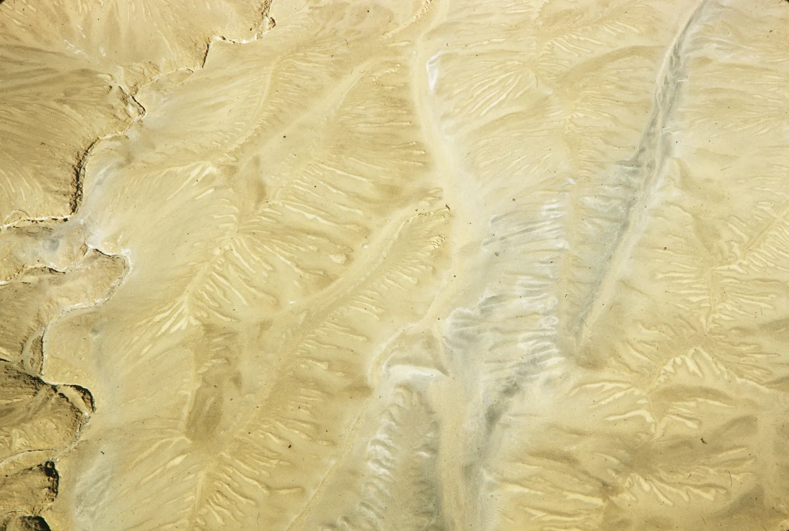Desierto de Atacama 1960.