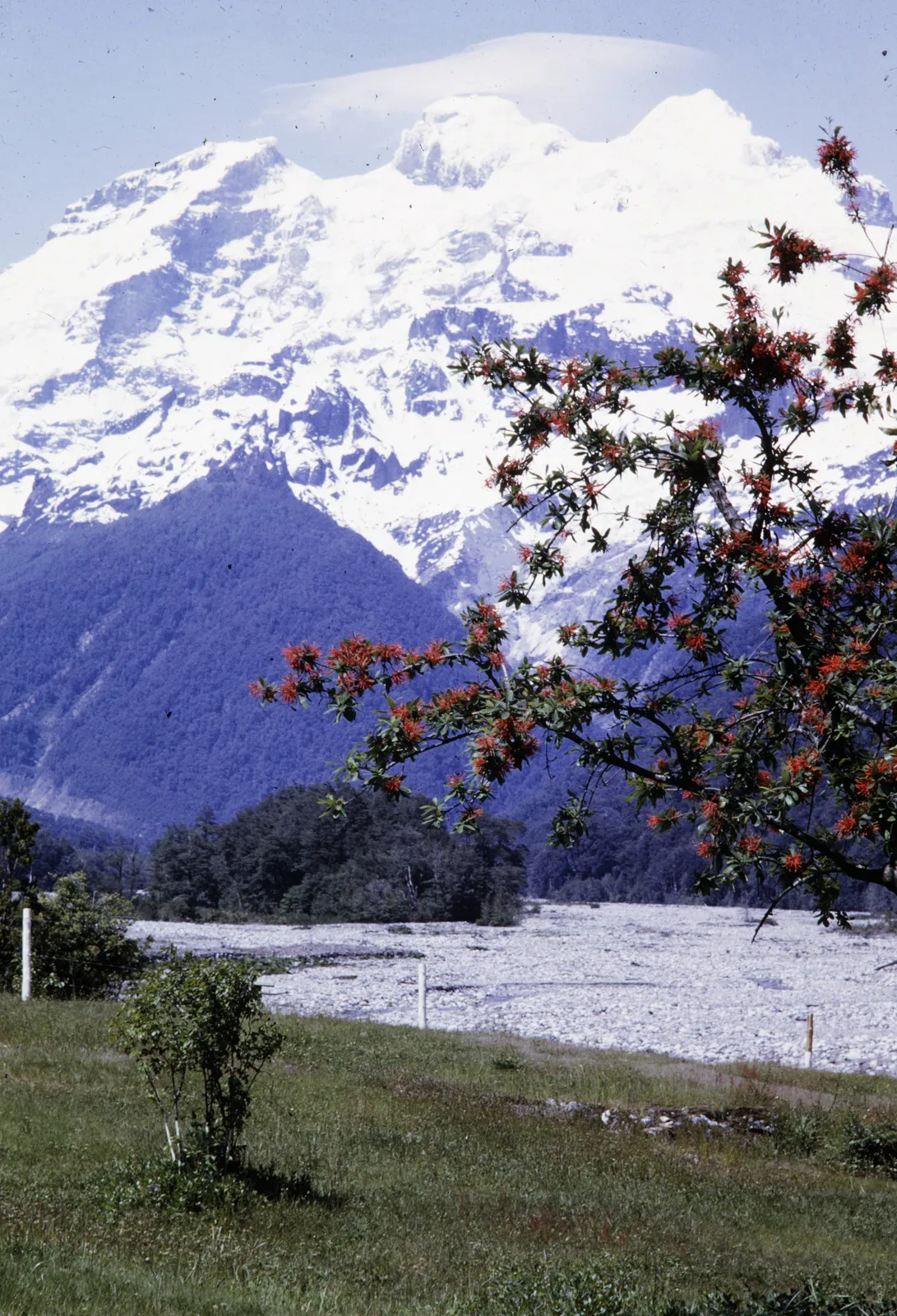 Cerro Tronador 1960.