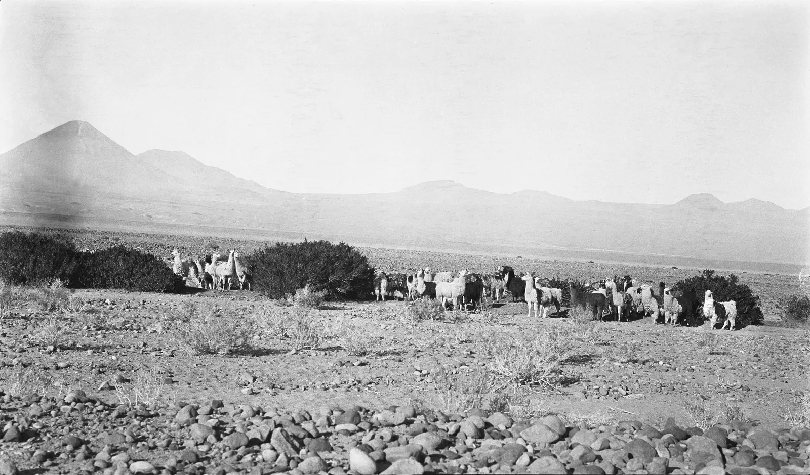 San Pedro de Atacama 1913.