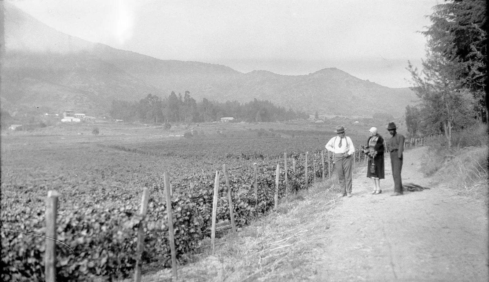 Viña Conchalí 1930.