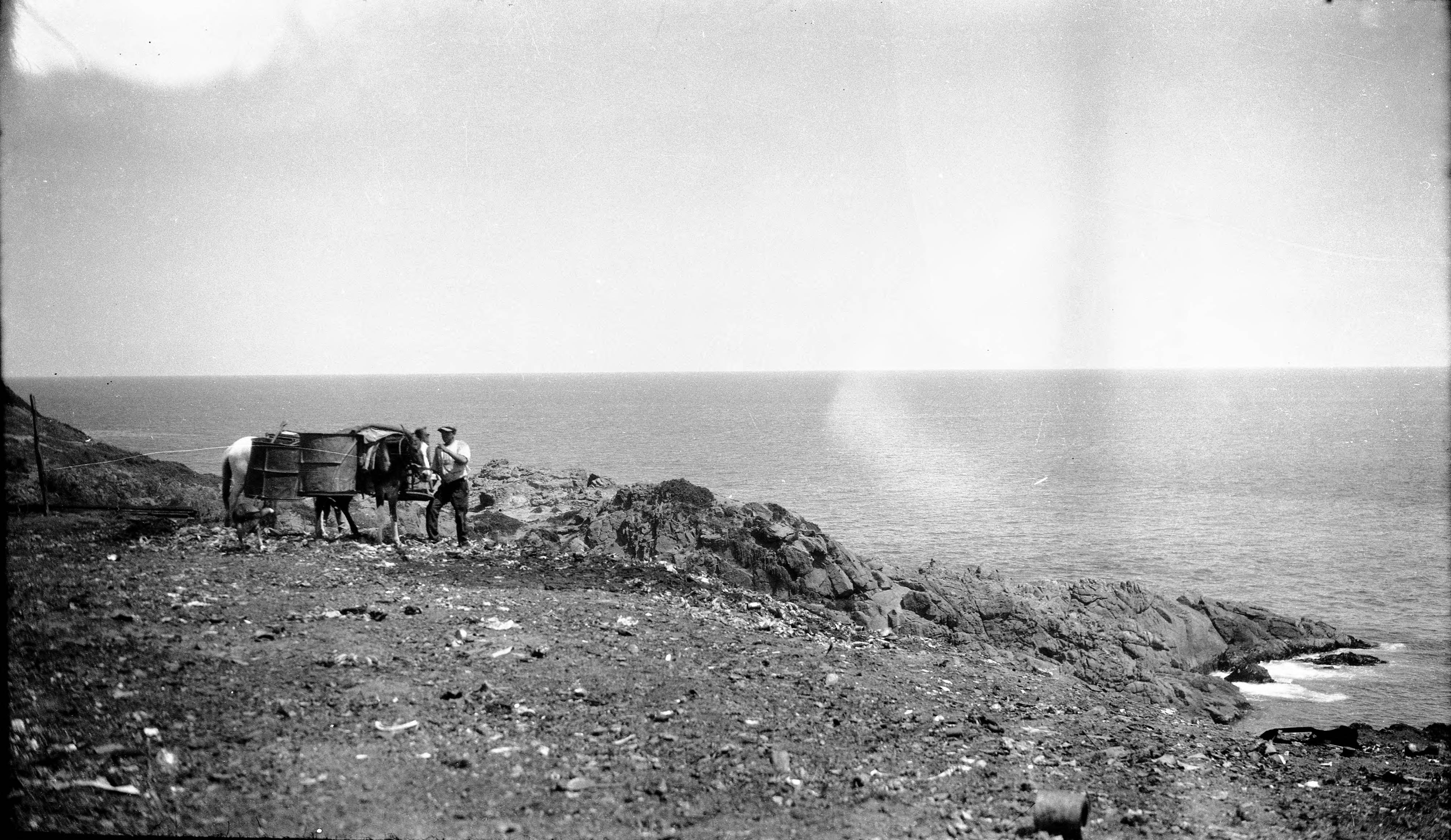Hombre y sus mulas en la costa de Valparaíso, 1930