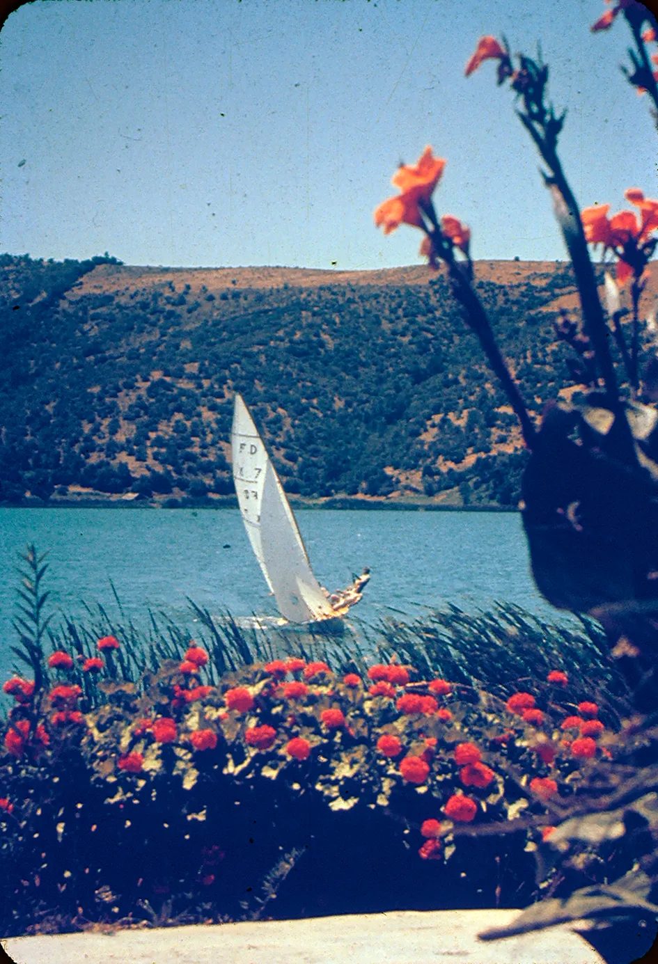 Lago Vichuquen, 1960s
