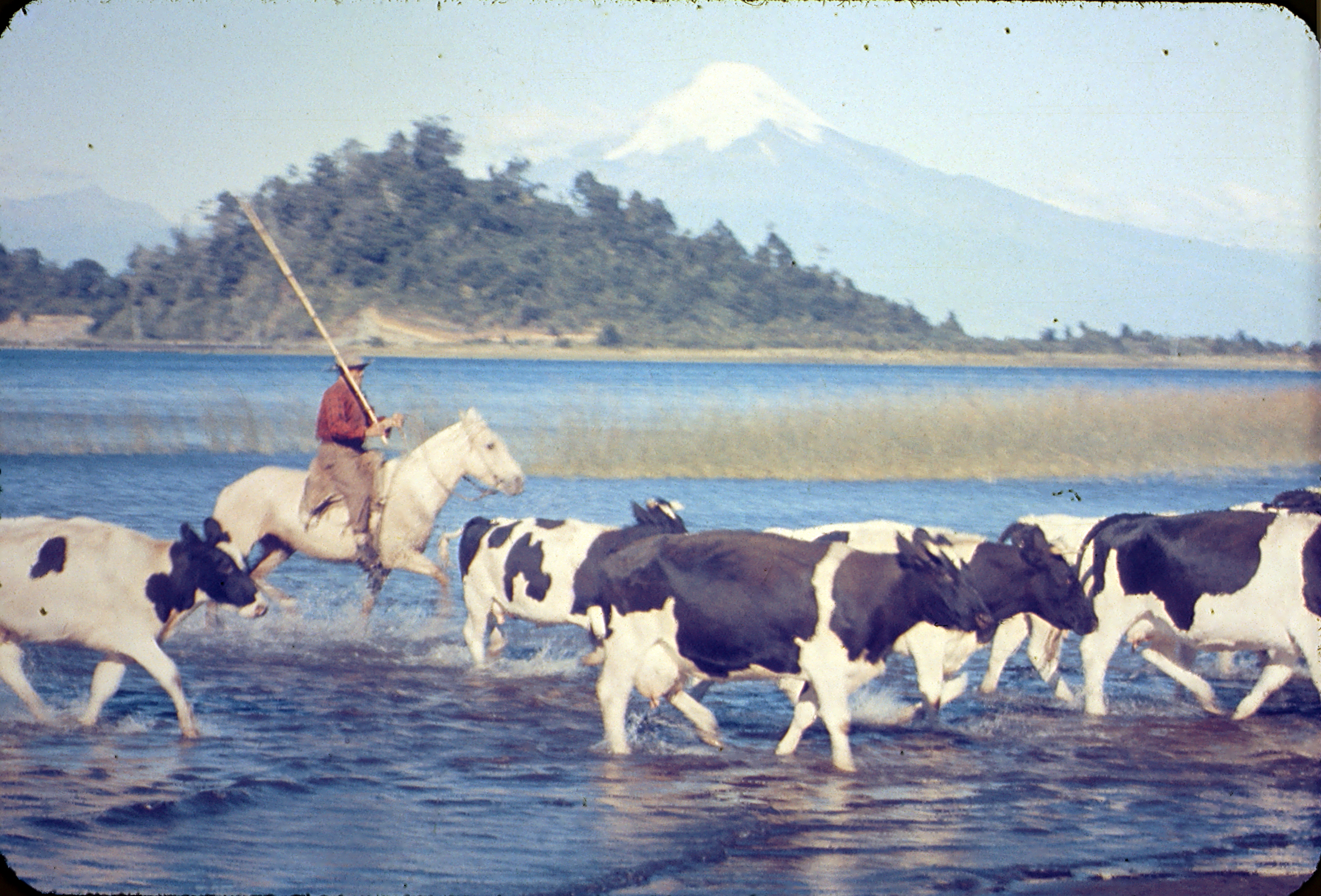 Lago Llanquihue, años 60s.