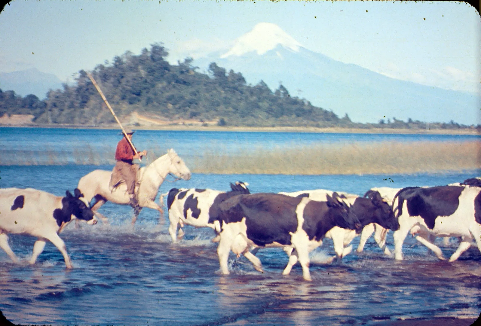 Lago Llanquihue, años 60s.