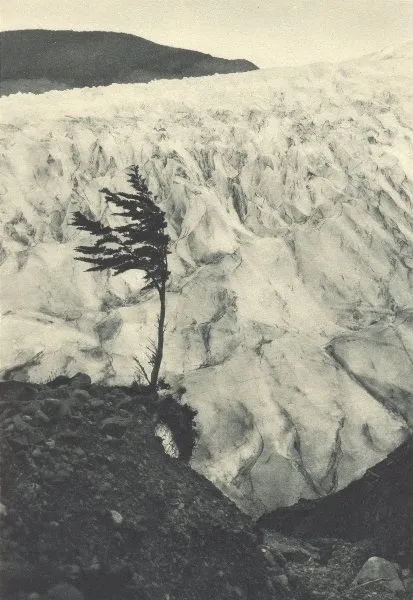 Ventisquero Barros Arana en 1932