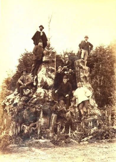 Posando sobre el Tocón de Alerce, La Vara en 1893.