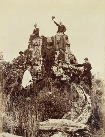 Posando sobre el Tocón de Alerce, La Vara en 1893.