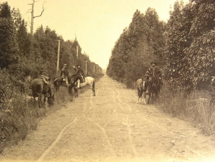 Camino a Puerto Octay en 1893.