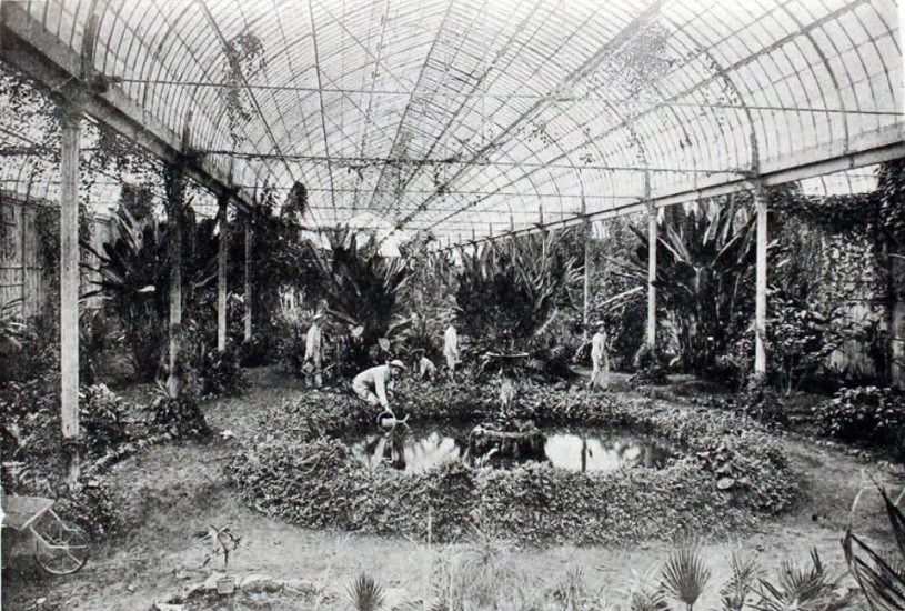 Invernadero de la Quinta Normal en 1901