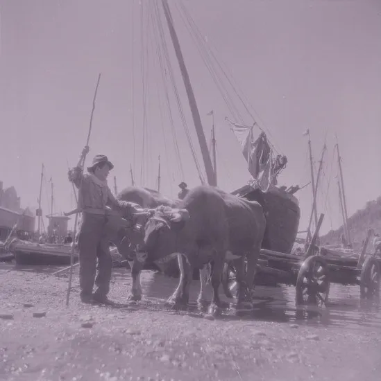 Caleta Angelmó en los 40s