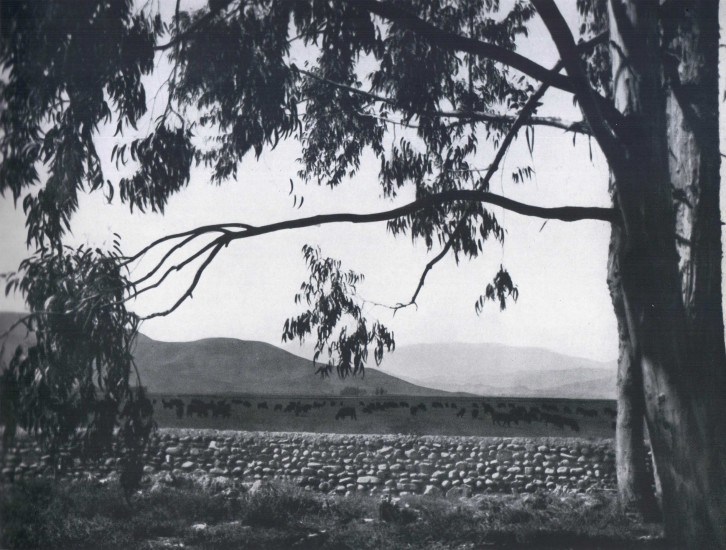 Vallenar 1959