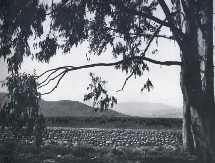 Vallenar 1959