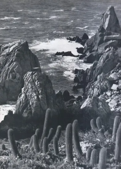 Quintay 1959