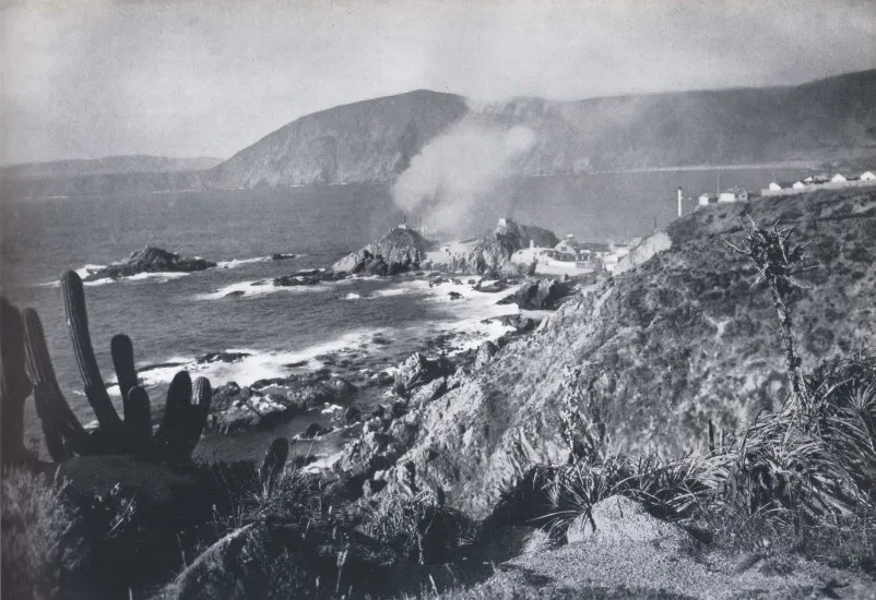 Quintay 1959