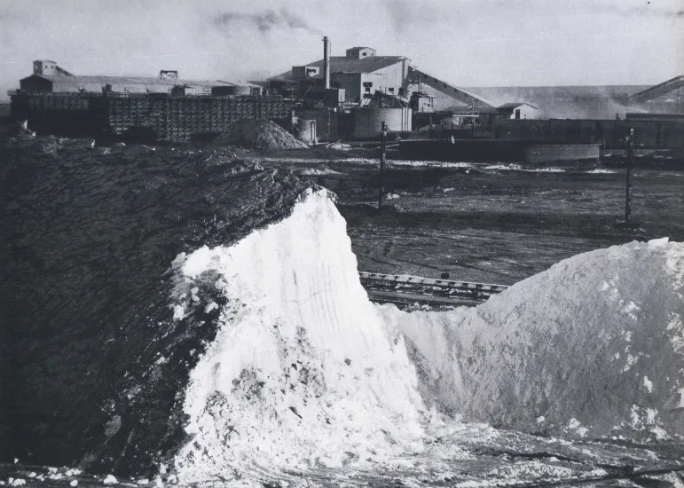 Oficina Pedro de Valdivia 1959
