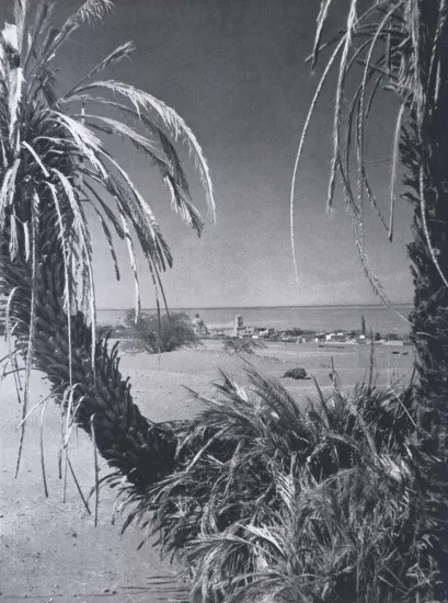 Matilla en 1959