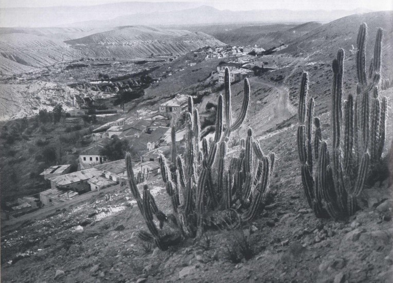 Mamiña 1959