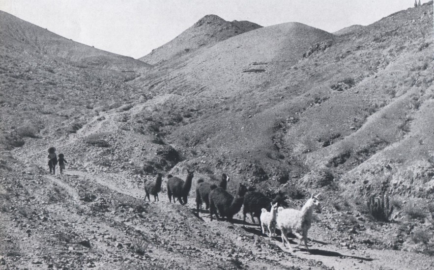 Mamiña en 1959