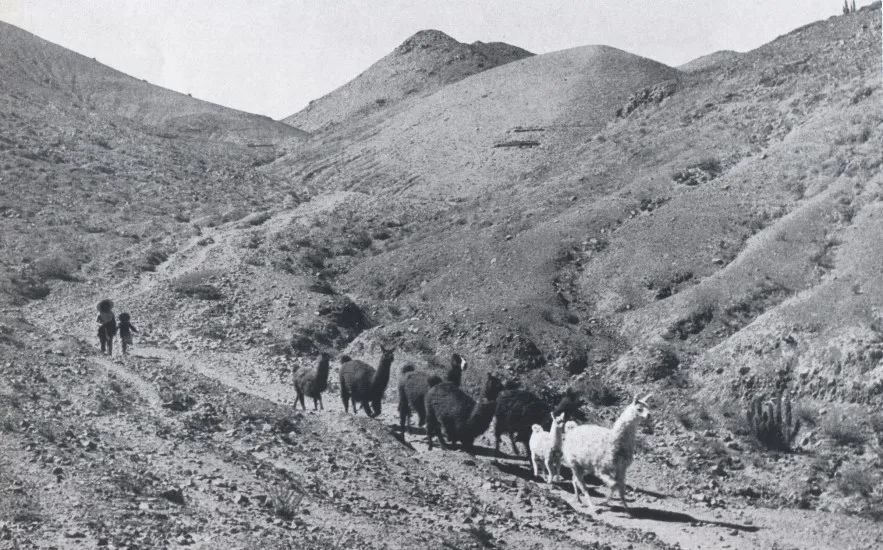 Mamiña en 1959