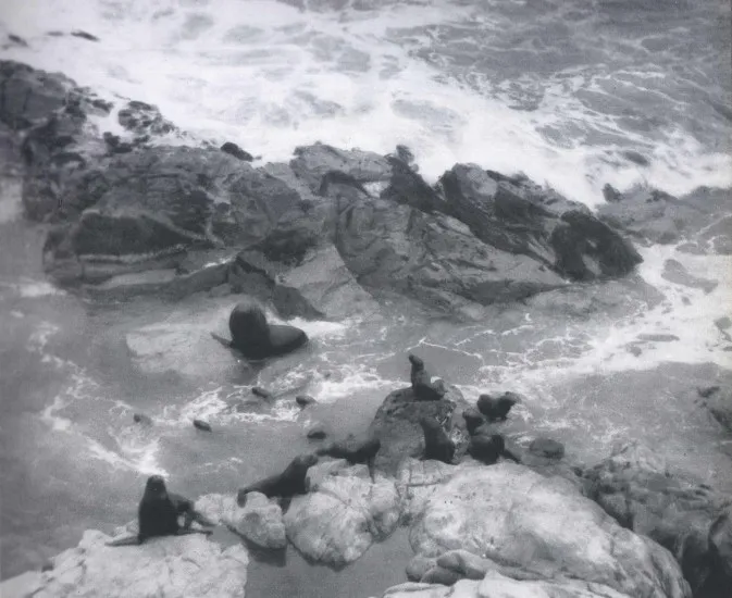 Isla Alacran 1959 Arica