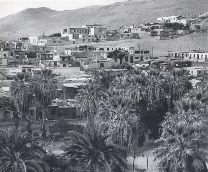Arica 1959