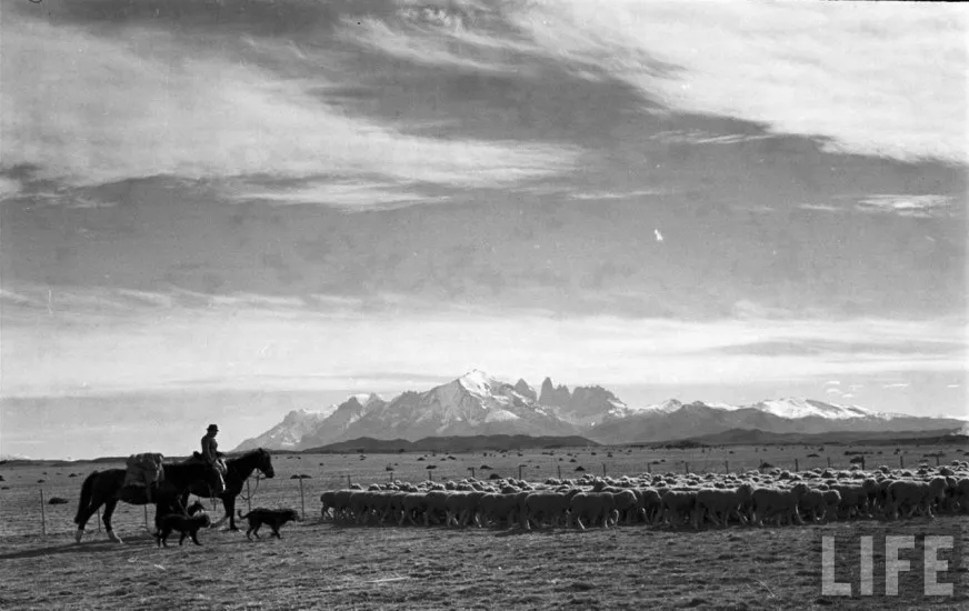 Cercanías de Puerto Natales en el año 1950