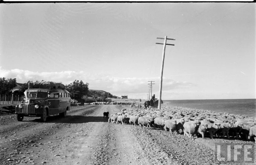 Cercanías de Punta Arenas en el año 1950