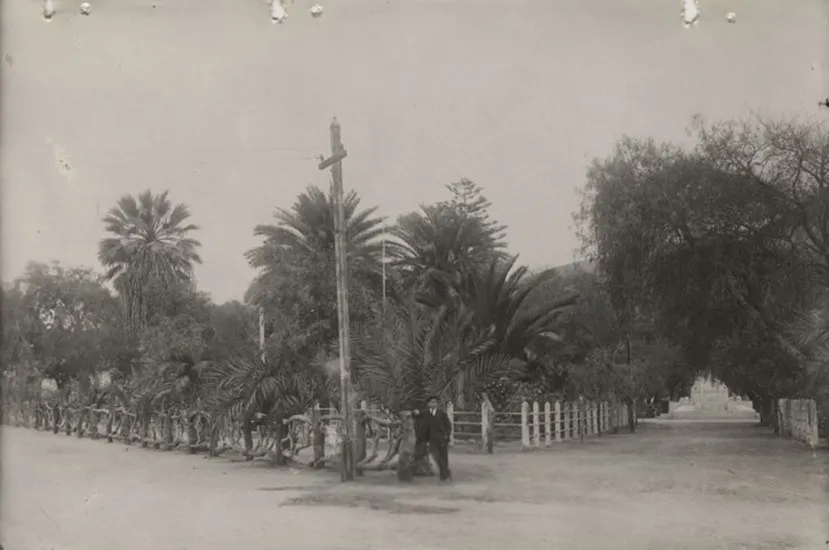 Parque Municipal de Arica en 1928