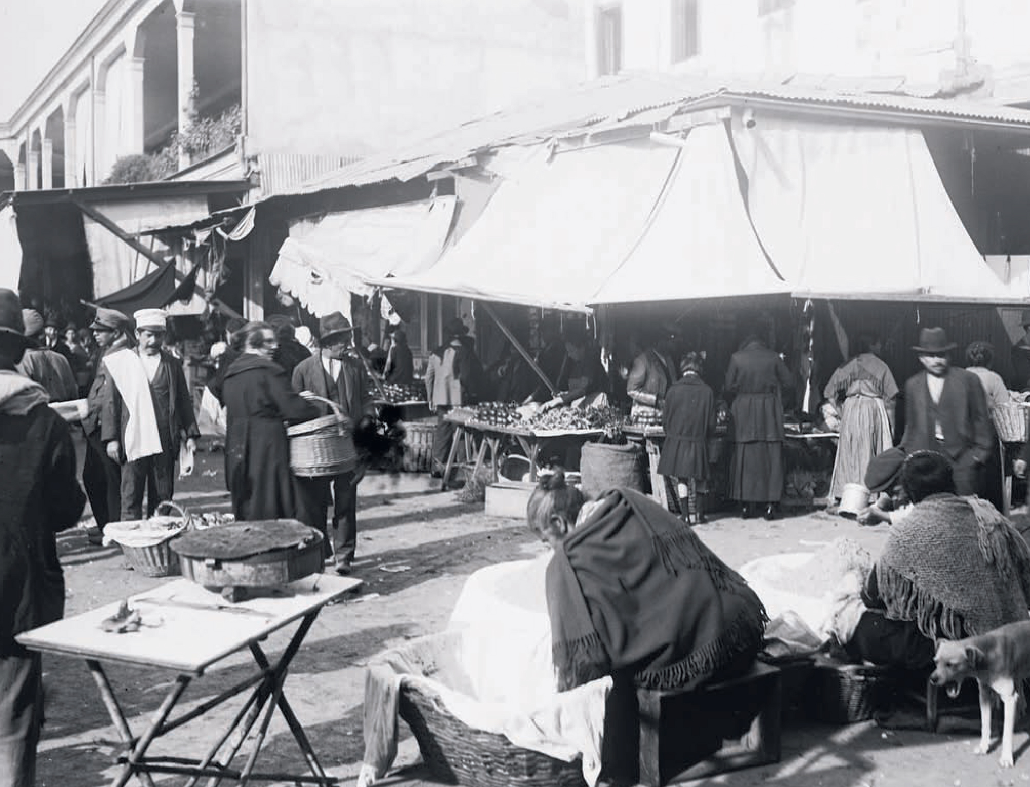 La vega del Mapocho en 1895